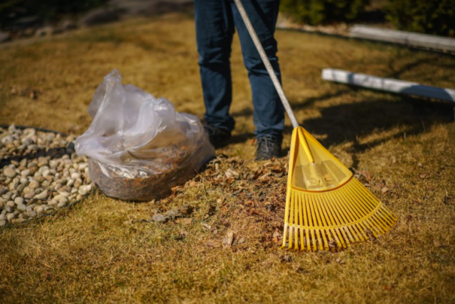 Reduce your yard waste, improve your lawn, help our landfill