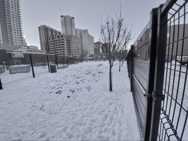 Four City dog parks to be closed, all off-leash areas go on-leash  as COVID-19 precautions extended