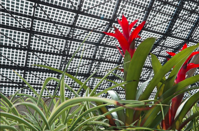 Rehabbing and retrofitting buildings generates energy, conserves money in Edmonton