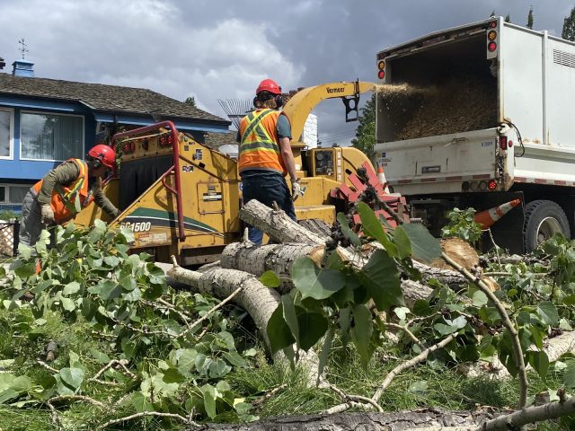 City crews pick up where windstorm left off