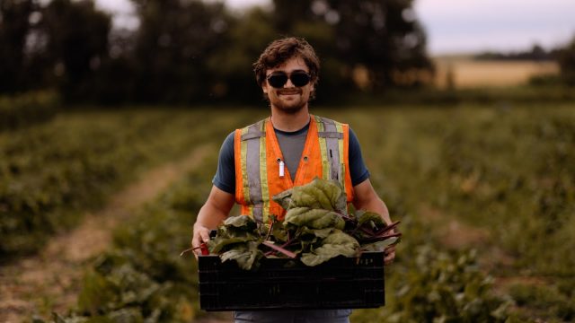 City Farm harvest grows awareness of food security in Edmonton