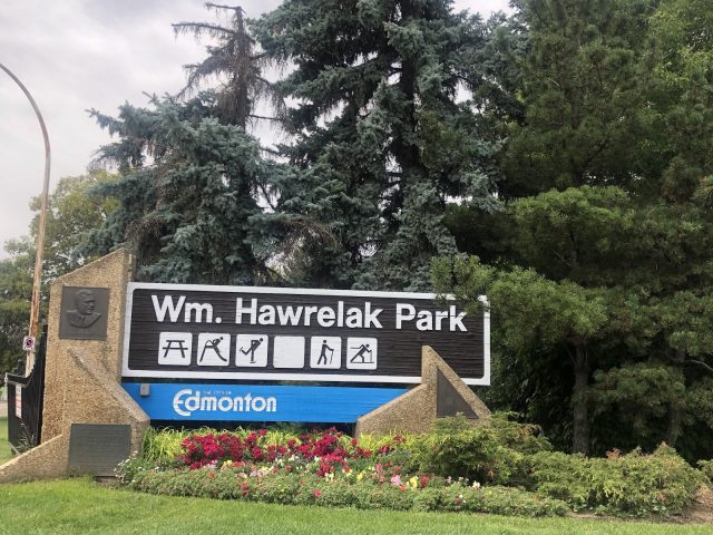 Closer to Home: a picnic in Hawrelak Park