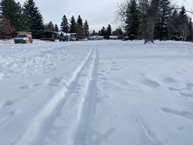 Closer to Home: cross-country skiing in Edmonton