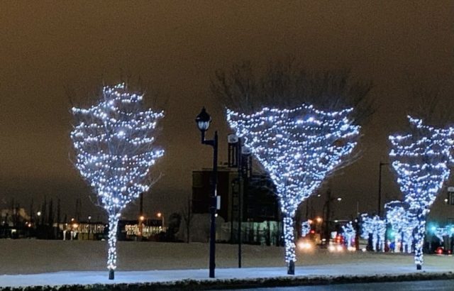 A little light for our “feeling kinda blah” times