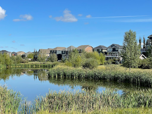 Making connections: community leagues in Edmonton bring folks together