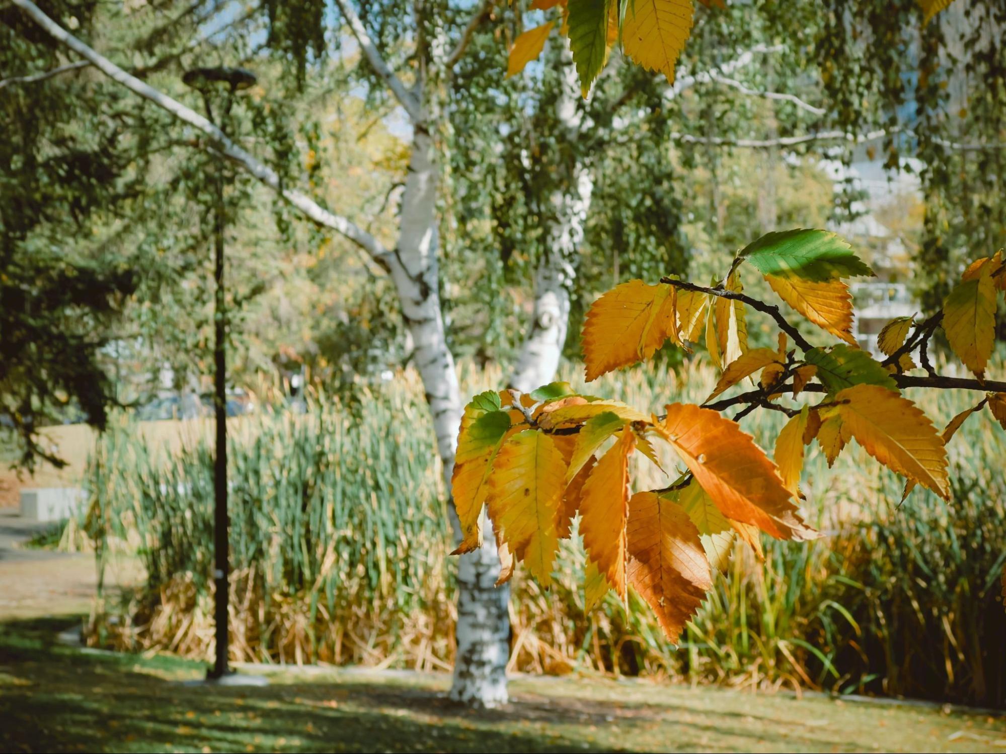 Prairie Design Awards celebrate Edmonton library, garage, park, and