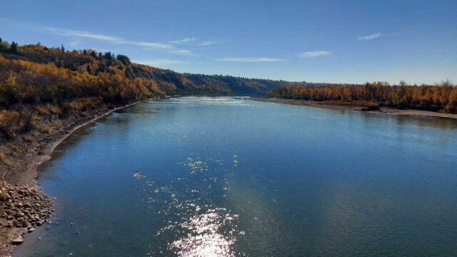 Edmontonians continue to call for the City to address climate change