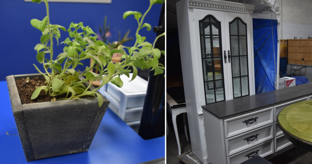 The photo on the left features a plant in a cube-shaped plant holder made out of repurposed furniture. The photo on the right features a hip-high, white rectangular dresser and a tall, white wardrobe.